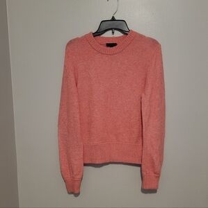 J. Crew Merino Wool Crew Neck Sweater